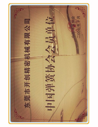 Chinese Spring Association member
